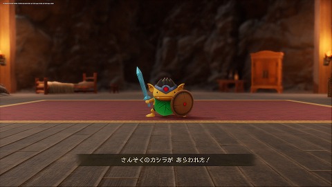 ドラクエ7さんぞくのカシラ