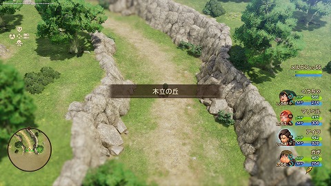 木立の丘(現代)